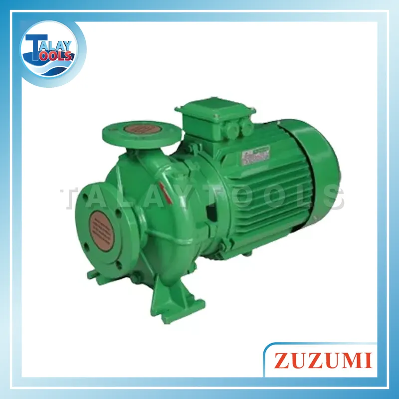 ZUZUMI TS50-32-200A ปั๊มน้ำหอยโข่งหน้าแปลน 7500W 380V ส่งสูง 61 ม. 6 ZUZUMI TS50-32-200A ปั๊มน้ำหอยโข่งหน้าแปลน 7500W 380V ส่งสูง 61 ม.