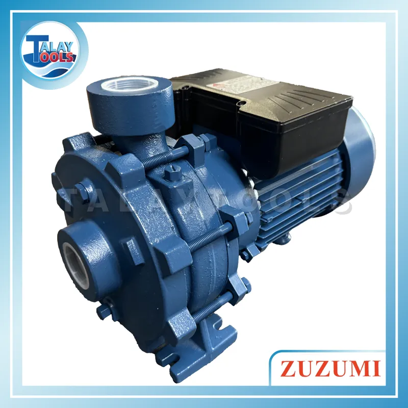 ZUZUMI 2TCP ปั๊มน้ำหอยโข่งไฟฟ้า 6 ZUZUMI 2TCP ปั๊มน้ำหอยโข่งไฟฟ้า